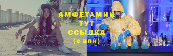 стаф Тавда