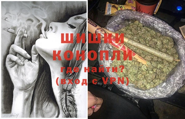 спайс Тайга