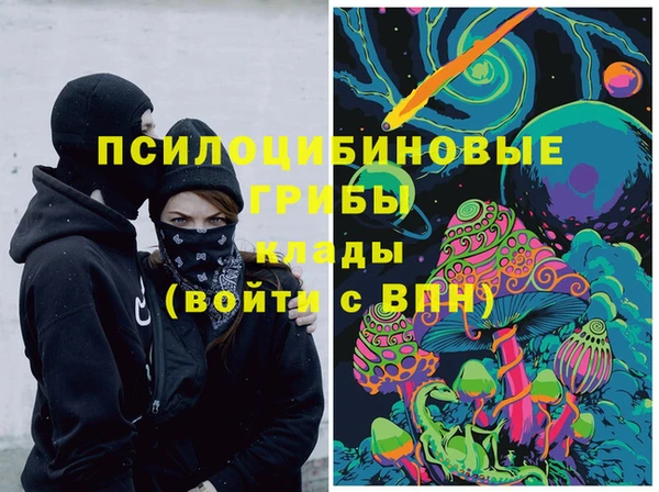 гидра Арсеньев