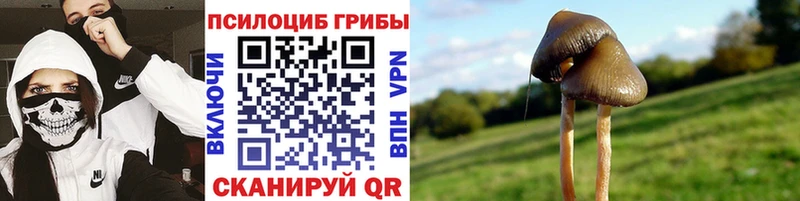 mega сайт Могоча Галлюциногенные грибы ЛСД купить сайты