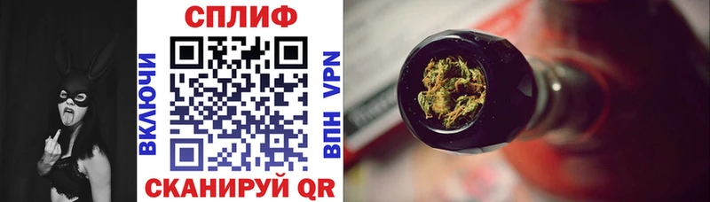 Бошки Шишки ГИДРОПОН  Могоча 
